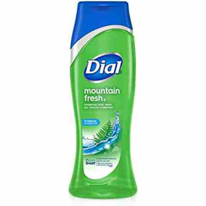 Picture of DIAL BODY WASH MOUTAIN FRESH 473ML