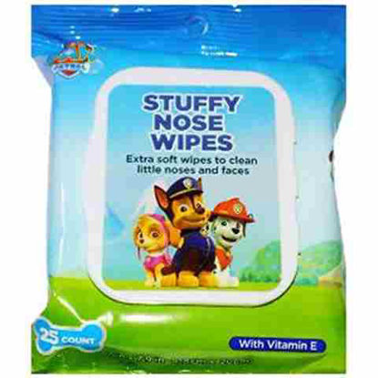 Picture of PAW PETROL STUFFY NOSE WIPES 25CT