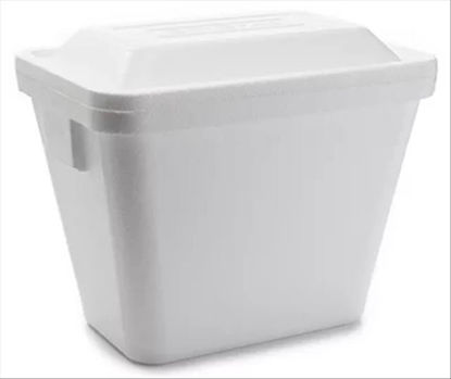 Picture of ICE CHEST WITHOUT HANDLE 26QT