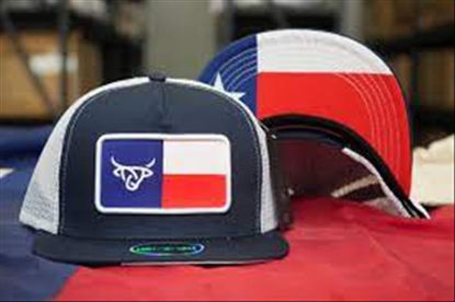 Picture of THE STATE OF TEXAS CAP