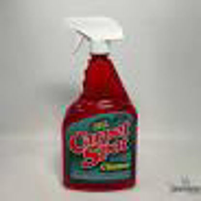 Picture of CARPET SPOT CLEANER