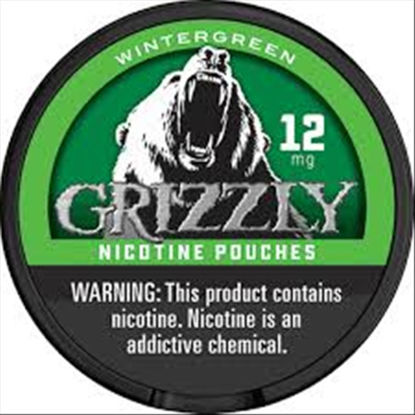 Picture of GRIZZLY POUCH 2.0 WINTERGREEN 12MG