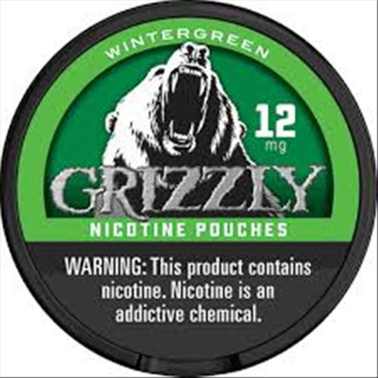 Picture of GRIZZLY POUCH 2.0 WINTERGREEN 12MG