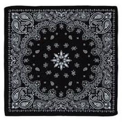 Picture of BANDANA
