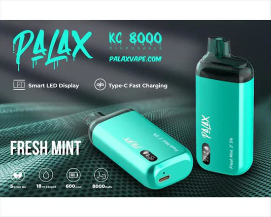 Picture of PALAX FRESH MINT KC8000 5PK