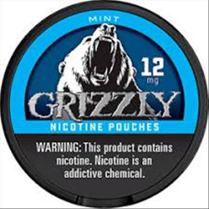 Picture of GRIZZLY POUCH 2.0 MINT 12GM